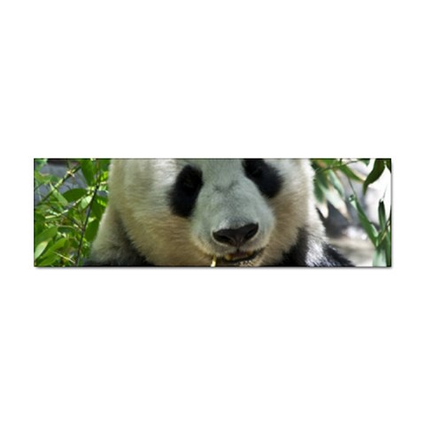 Panda Sticker (Bumper) from ArtsNow.com Front