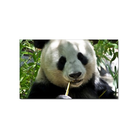 Panda Sticker Rectangular (10 pack) from ArtsNow.com Front