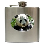 Panda Hip Flask (6 oz)