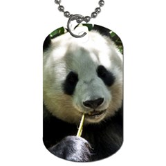 Panda Dog Tag (Two Sides) from ArtsNow.com Back