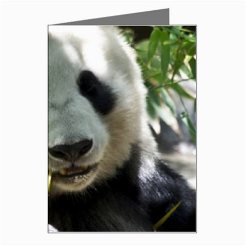 Panda Greeting Card from ArtsNow.com Left