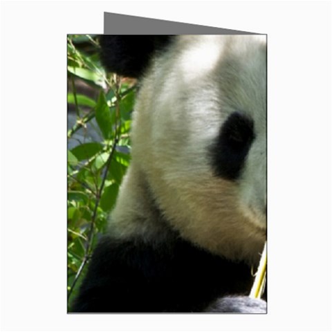 Panda Greeting Cards (Pkg of 8) from ArtsNow.com Right