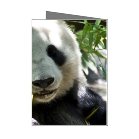 Panda Mini Greeting Cards (Pkg of 8) from ArtsNow.com Left