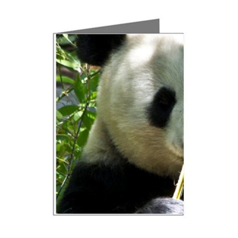 Panda Mini Greeting Cards (Pkg of 8) from ArtsNow.com Right