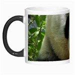 Panda Morph Mug