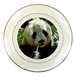 Panda Porcelain Plate