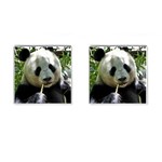 Panda Cufflinks (Square)