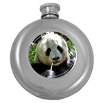 Panda Hip Flask (5 oz)