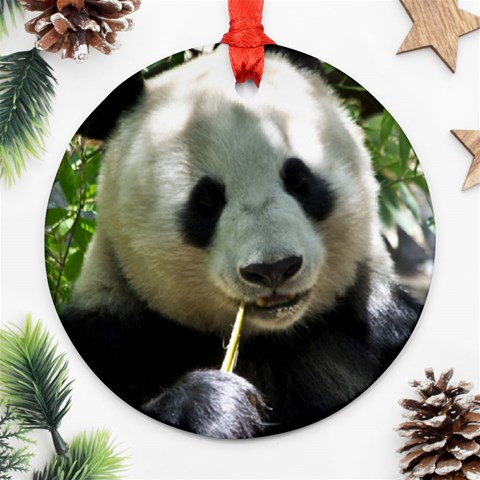 Panda Round Ornament (Two Sides) from ArtsNow.com Front