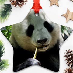Panda Star Ornament (Two Sides) from ArtsNow.com Front