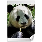 Panda Canvas 24  x 36 