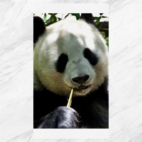Panda Canvas 40  x 72  from ArtsNow.com 39.28 x69.23  Canvas - 1