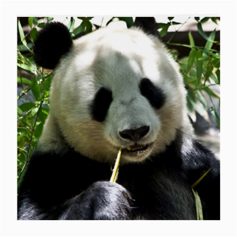 Panda Medium Glasses Cloth (2 Sides) from ArtsNow.com Front