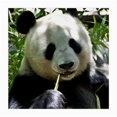 Panda Medium Glasses Cloth (2 Sides) from ArtsNow.com Front