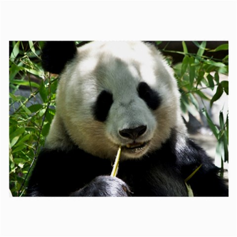 Panda Large Glasses Cloth from ArtsNow.com Front