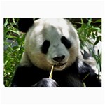 Panda Large Glasses Cloth (2 Sides)