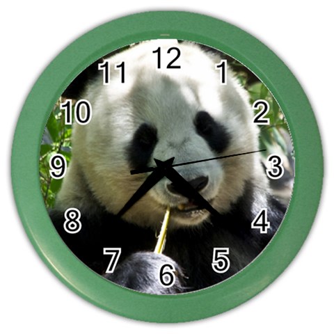 Panda Color Wall Clock from ArtsNow.com Front