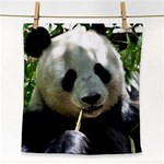 Panda Face Towel