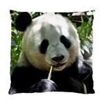 Panda Standard Cushion Case (One Side)