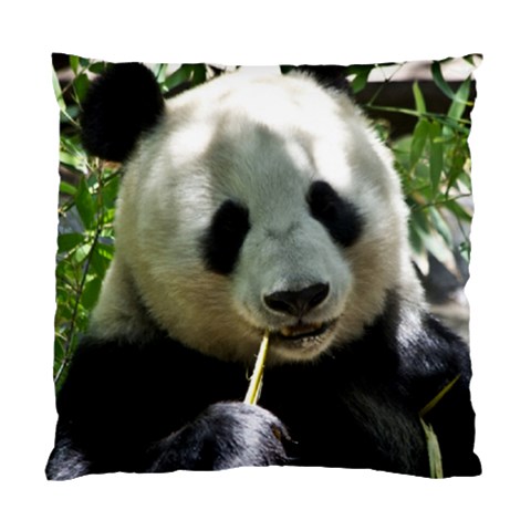 Panda Standard Cushion Case (Two Sides) from ArtsNow.com Front