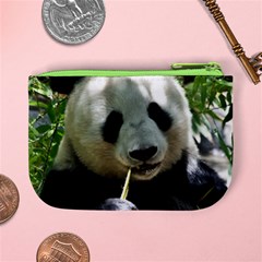 Panda Mini Coin Purse from ArtsNow.com Back