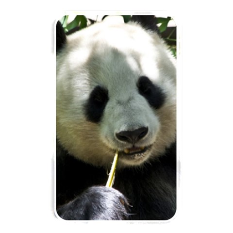 Panda Memory Card Reader (Rectangular) from ArtsNow.com Front