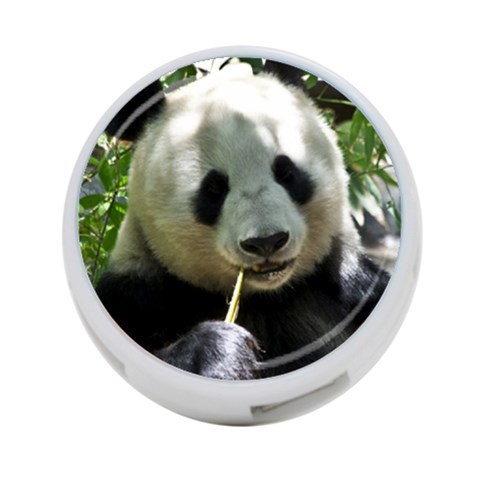 Panda 4 Front