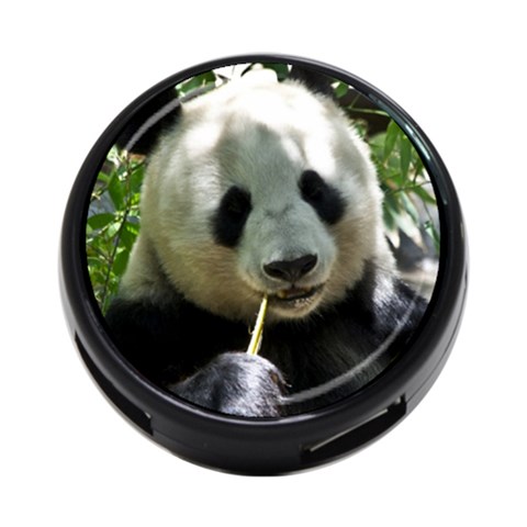 Panda 4 Front