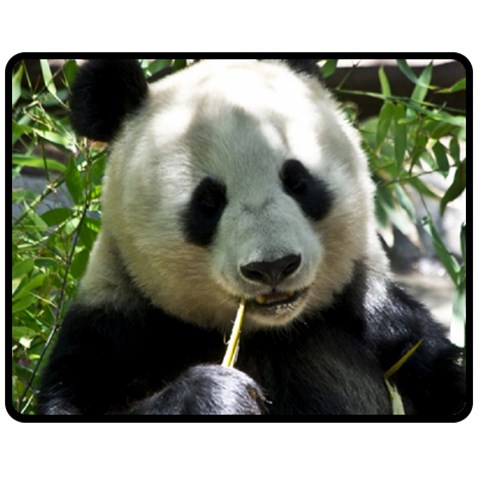 Panda Fleece Blanket (Medium) from ArtsNow.com 60 x50  Blanket Front