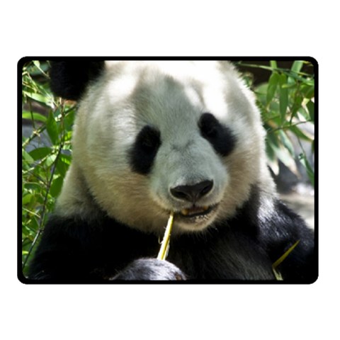 Panda Fleece Blanket (Small) from ArtsNow.com 50 x40  Blanket Front
