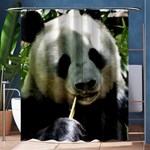 Panda Shower Curtain 60  x 72  (Medium)