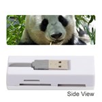 Panda Memory Card Reader (Stick)