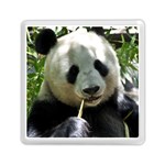 Panda Memory Card Reader (Square)