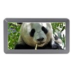 Panda Memory Card Reader (Mini)