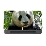 Panda Memory Card Reader with CF