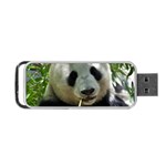 Panda Portable USB Flash (One Side)