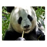 Panda Double Sided Flano Blanket (Large)