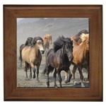 Running Horses Framed Tile