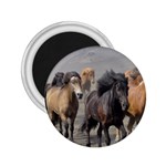 Running Horses 2.25  Magnet