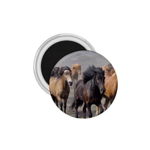 Running Horses 1.75  Magnet from ArtsNow.com Front