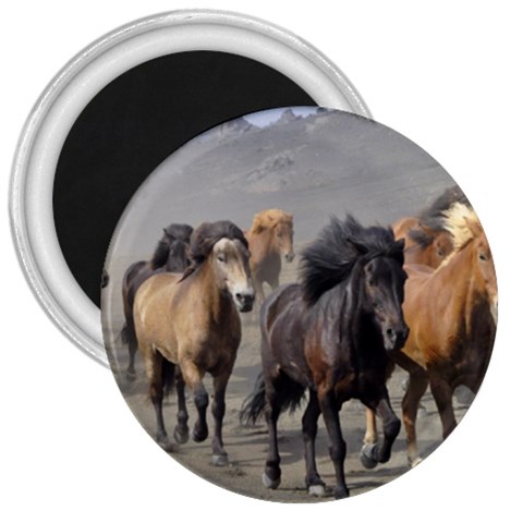 Running Horses 3  Magnet from ArtsNow.com Front