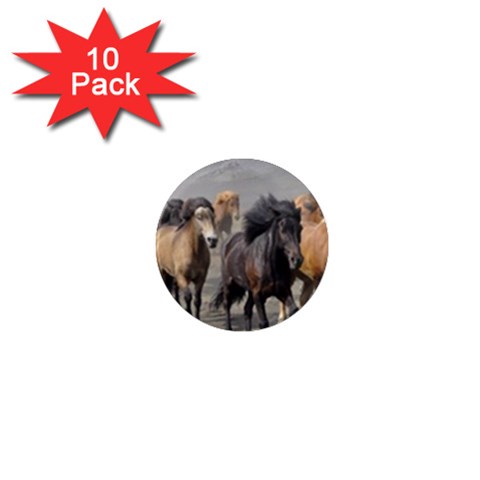 Running Horses 1  Mini Magnet (10 pack)  from ArtsNow.com Front