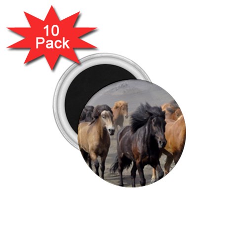 Running Horses 1.75  Magnet (10 pack)  from ArtsNow.com Front