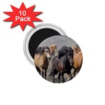 Running Horses 1.75  Magnet (10 pack) 