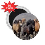 Running Horses 2.25  Magnet (10 pack)