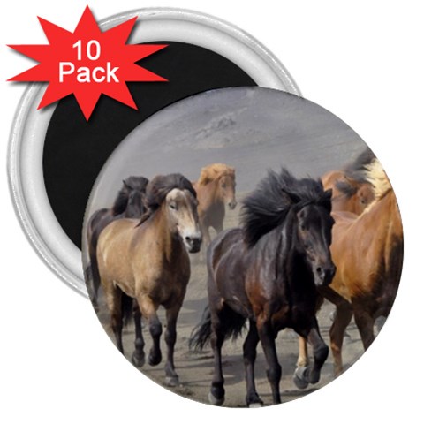 Running Horses 3  Magnet (10 pack) from ArtsNow.com Front