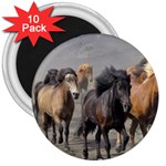 Running Horses 3  Magnet (10 pack)