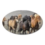 Running Horses Magnet (Oval)