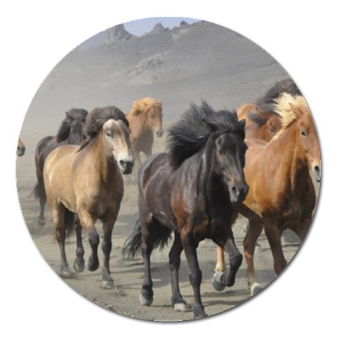Running Horses Magnet 5  (Round) from ArtsNow.com Front