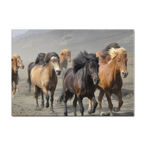 Running Horses Sticker A4 (100 pack) from ArtsNow.com Front